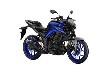 Icon Blue Image