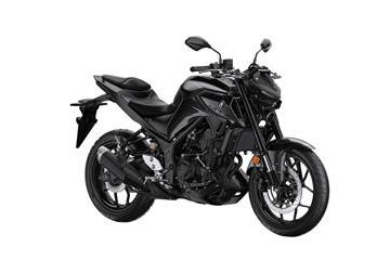 Midnight Black Image