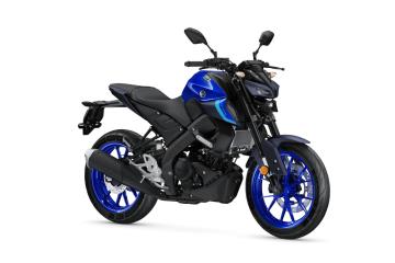 Icon Blue Image