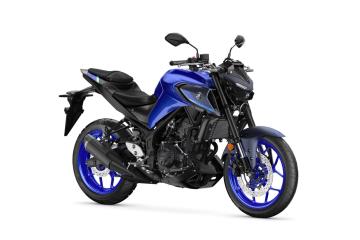 Icon Blue Image